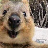 Hero 7 Black 256gb Micro Sd Card Not Formatting Gopro Support Hub