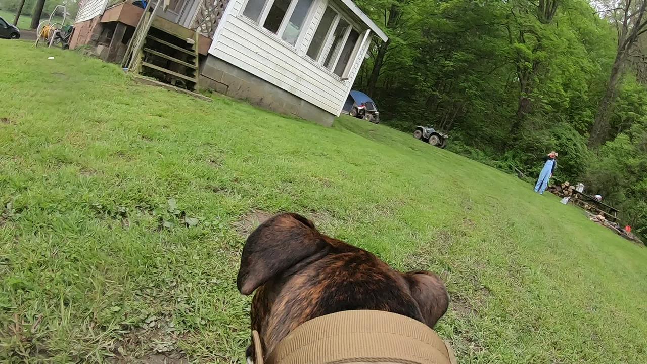 gopro.com